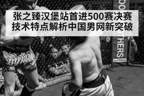 张之臻汉堡站首进500赛决赛 技术特点解析中国男网新突破